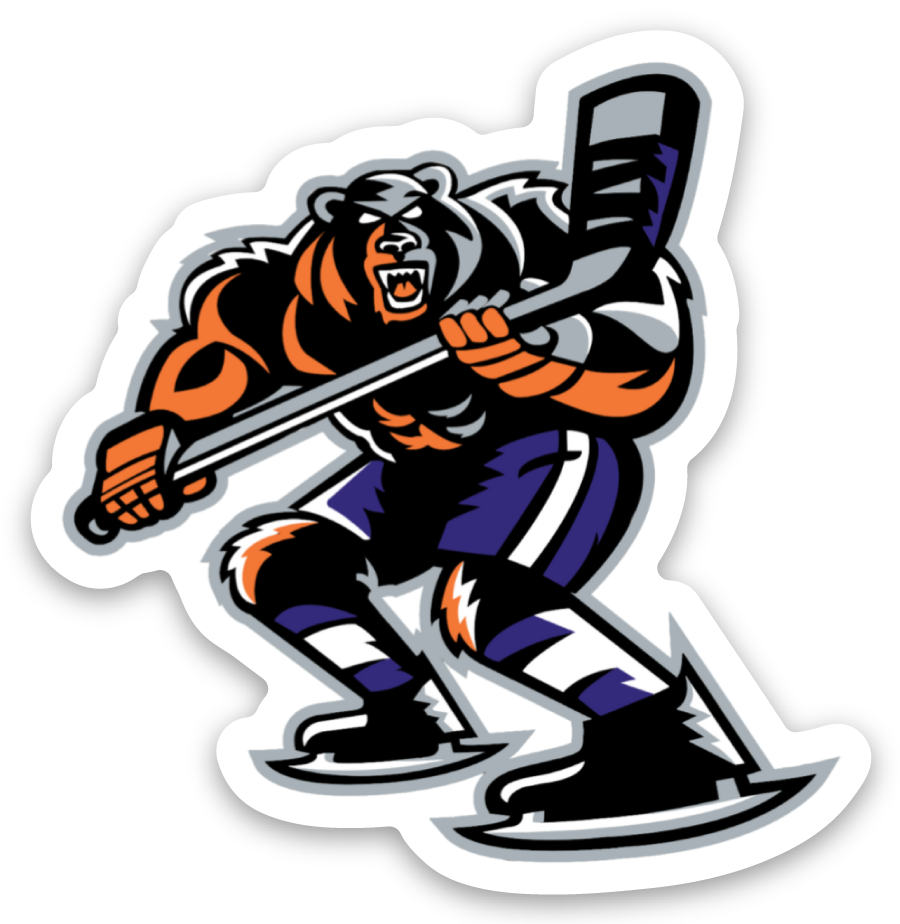 Mini Skating Bear Magnet