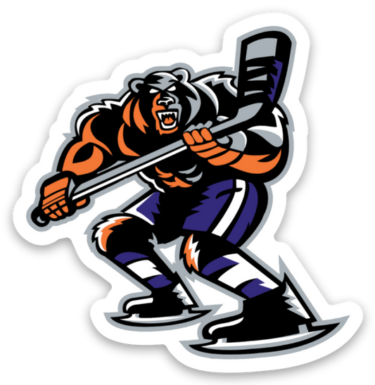Mini Skating Bear Magnet