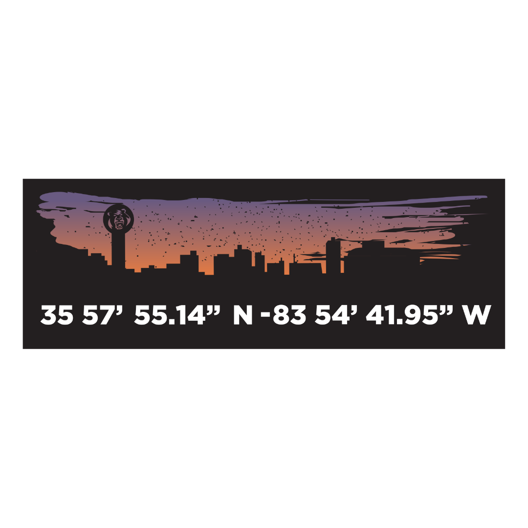 Skyline Coordinates Decal