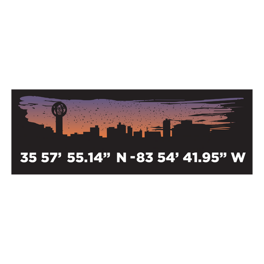 Skyline Coordinates Decal