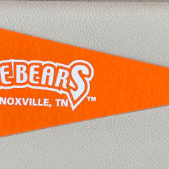 Mini Pennant Orange KIB Logo